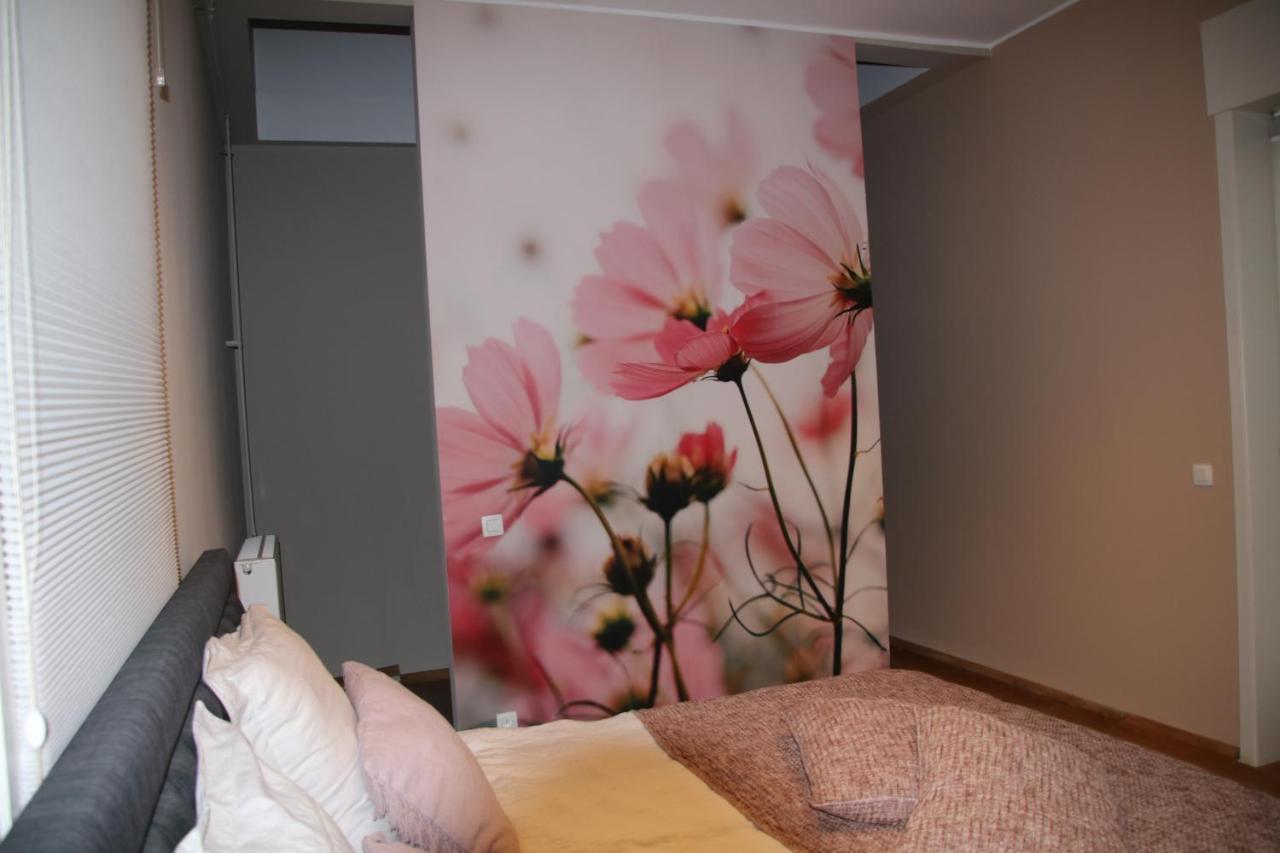 B&B Het Doctershoes Kinrooi Ngoại thất bức ảnh
