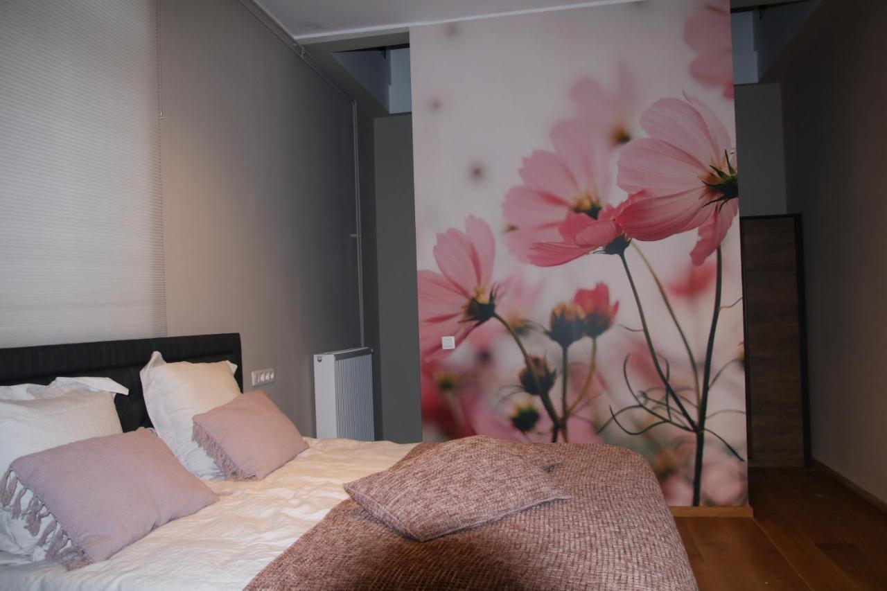 B&B Het Doctershoes Kinrooi Ngoại thất bức ảnh