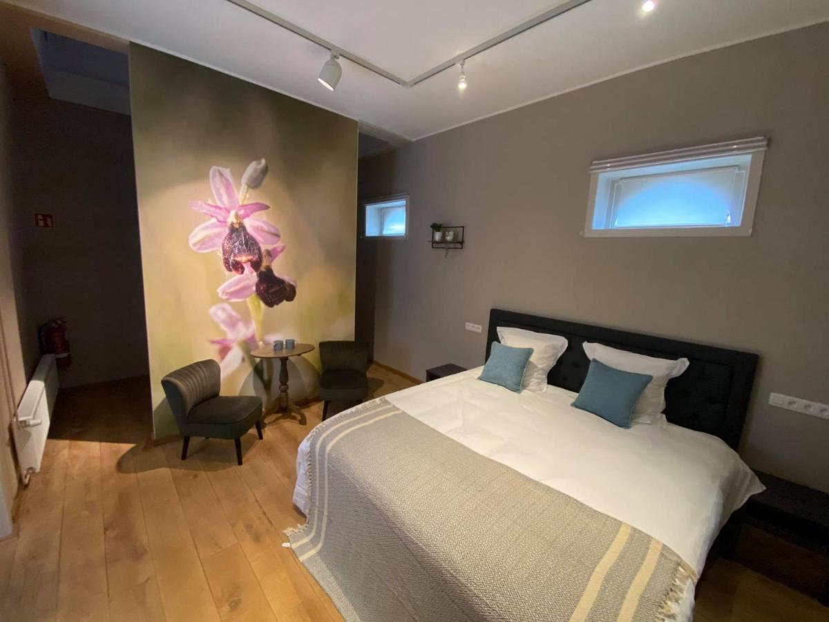B&B Het Doctershoes Kinrooi Ngoại thất bức ảnh