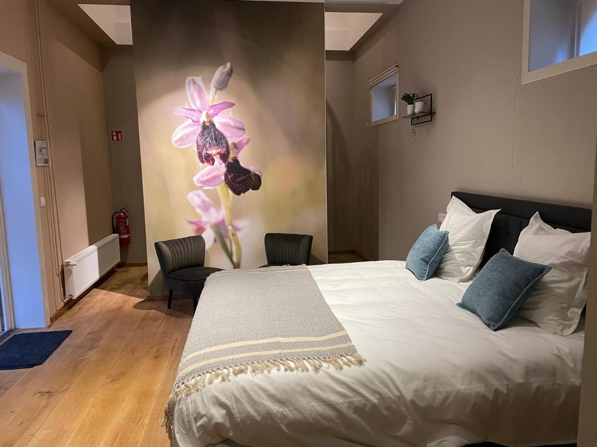 B&B Het Doctershoes Kinrooi Ngoại thất bức ảnh